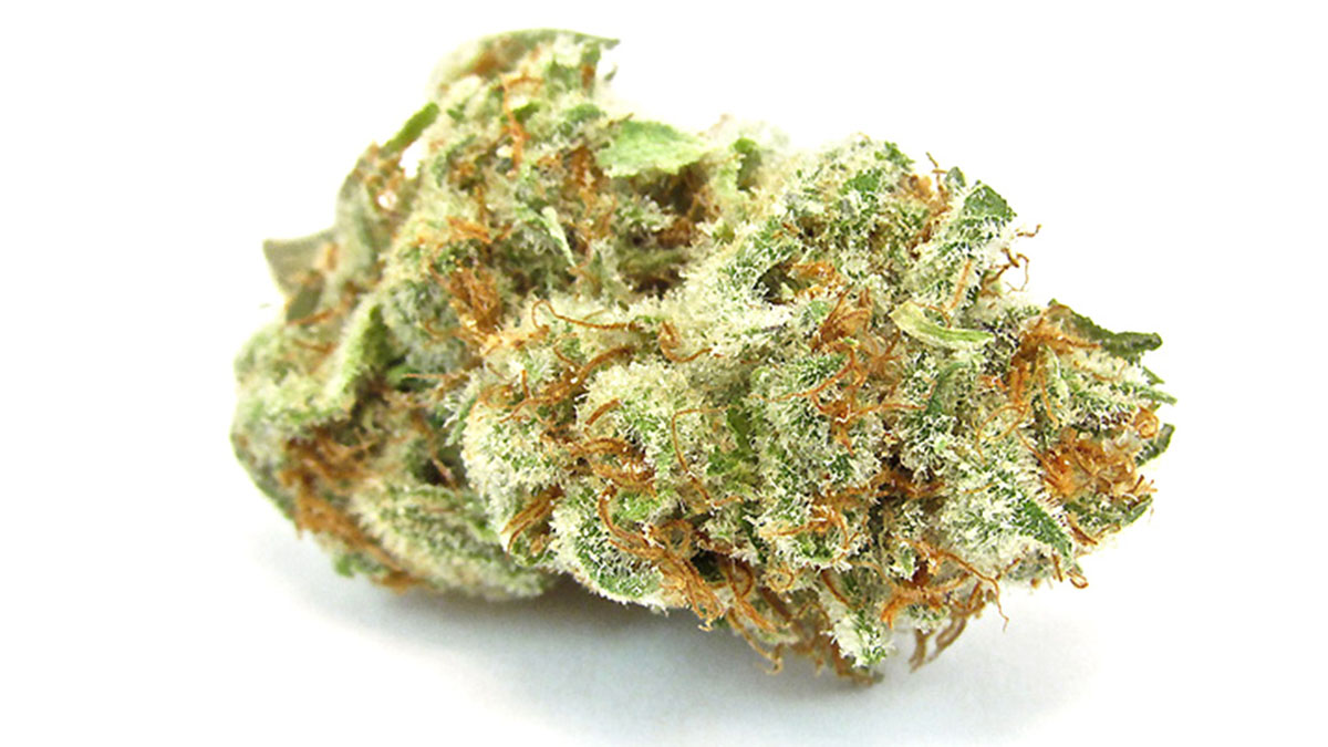 Image of Garlic Breath Cannabis Strain in white background