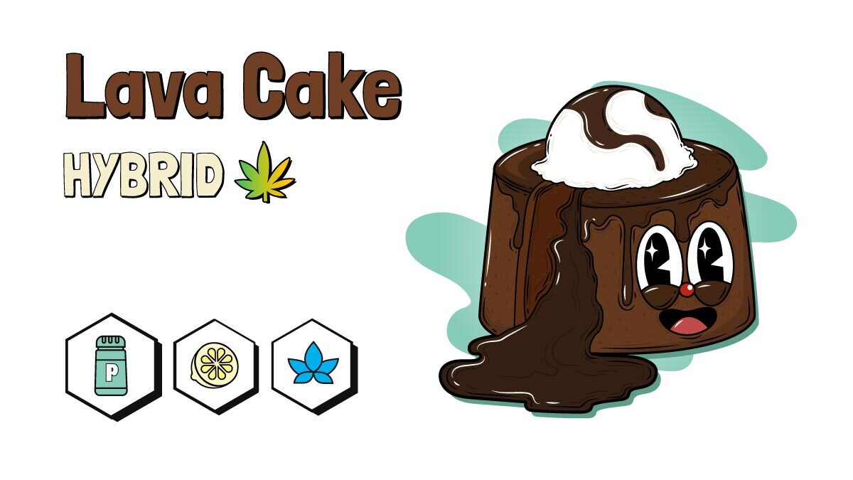 Lava Cake strain illustration