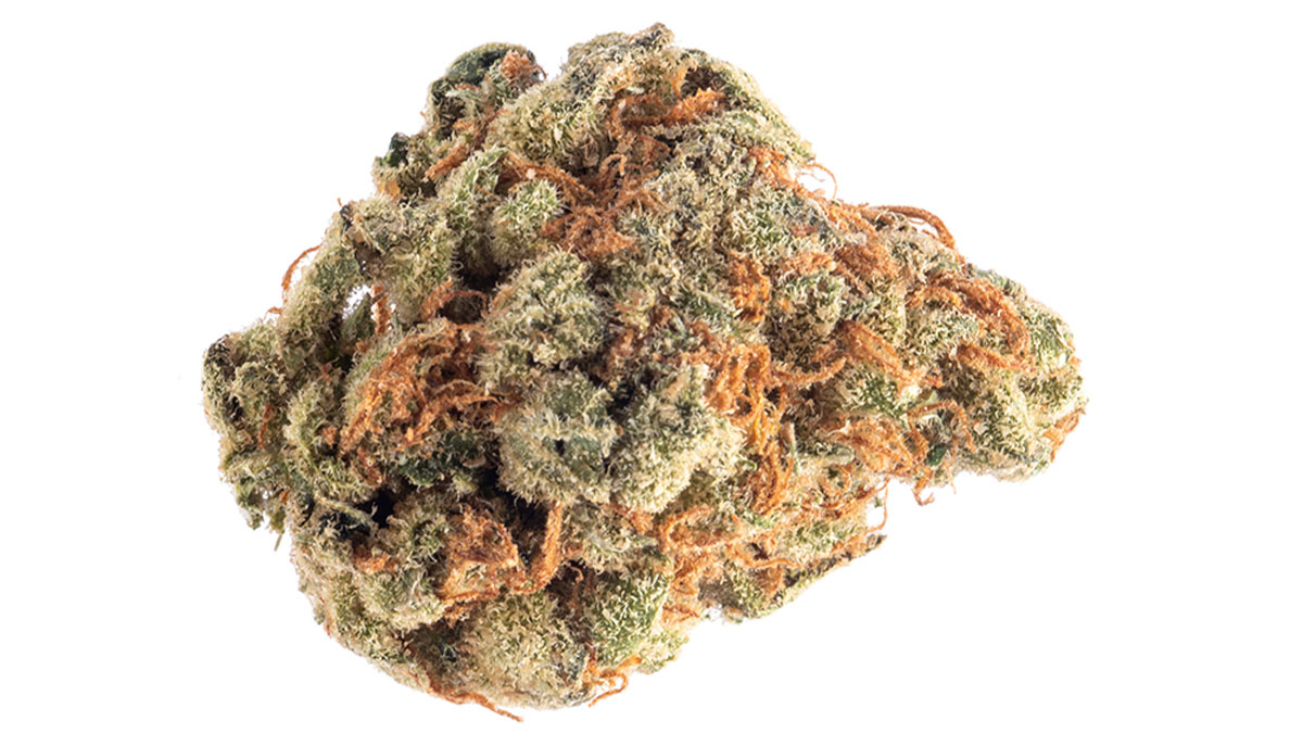 Image of Lemon Haze Strain in white background