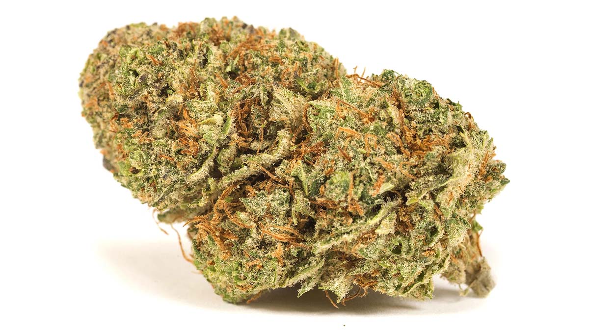Image of Pink Lemonade Cannabis Strain in white background