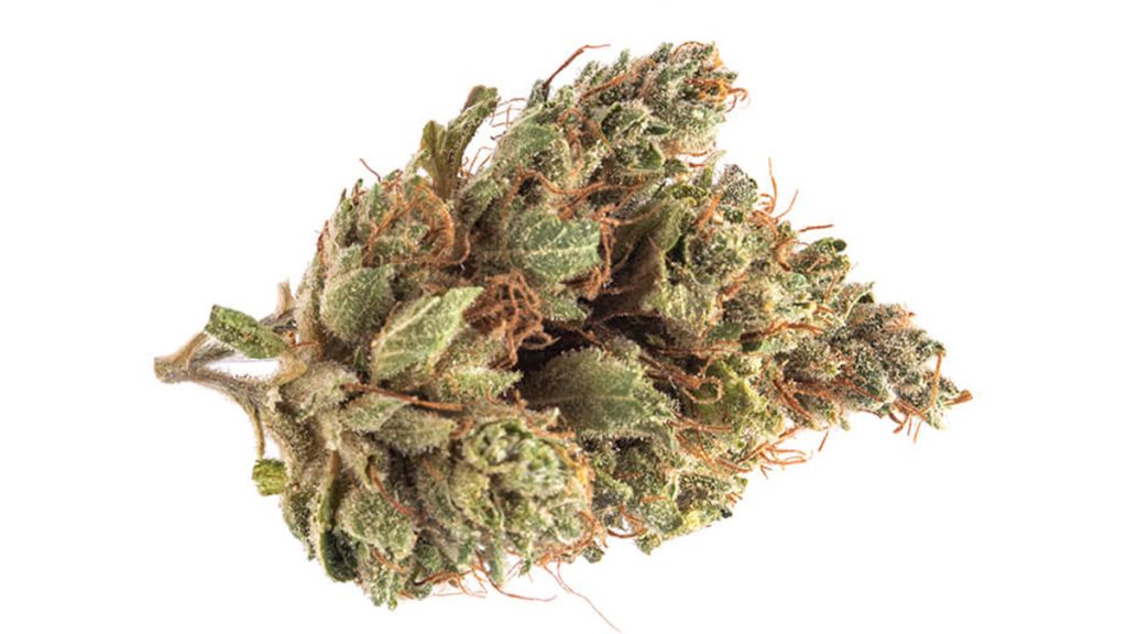 Platinum OG Marijuana Strain Information & Review Rolling Paper