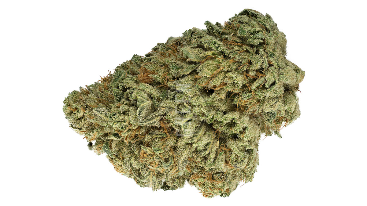 Image of Tahoe OG Cannabis Strain in white background