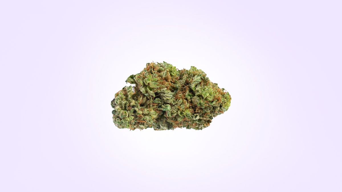 Donkey Butter Cannabis Strain in Light Purple Background