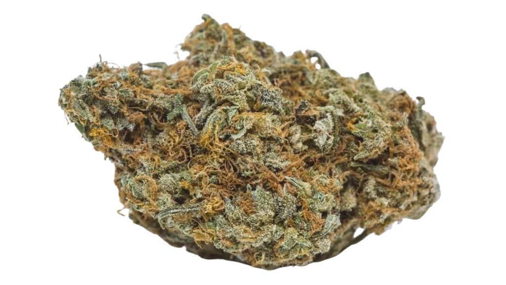 ZaZa Marijuana Strain Information & Review