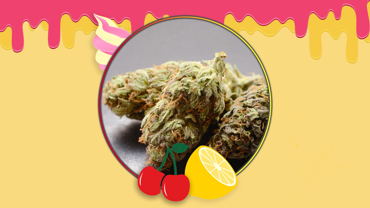 Lemon Cherry Gelato strain illustration