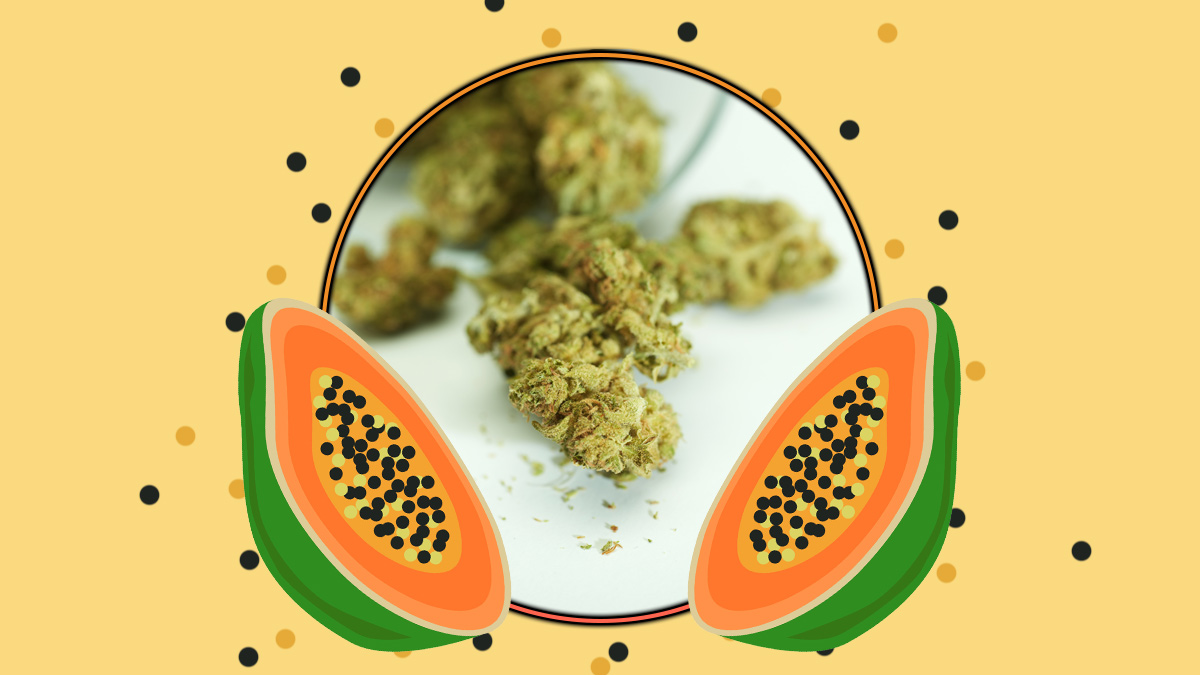 Papaya strain illustration