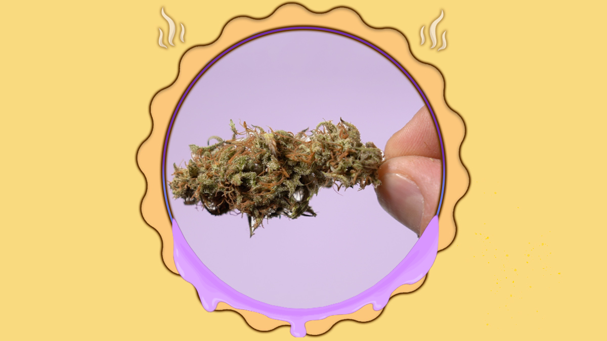 Grape pie strain illustration