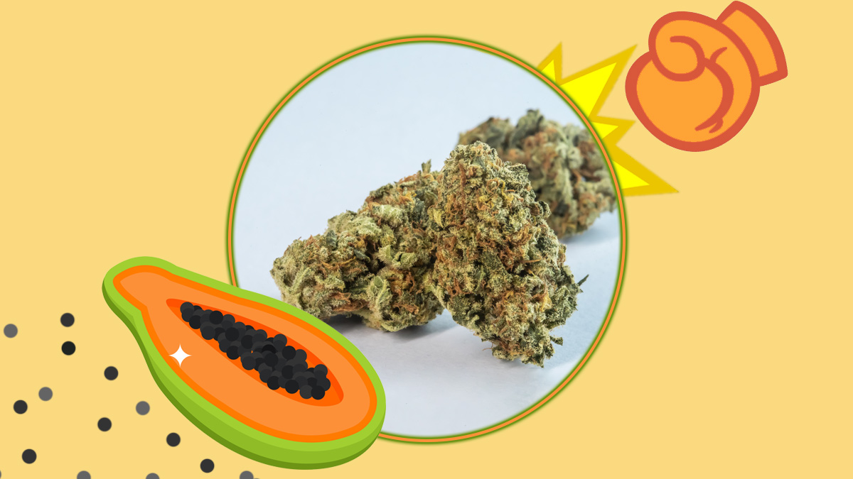 Papaya Punch Strain Illustration