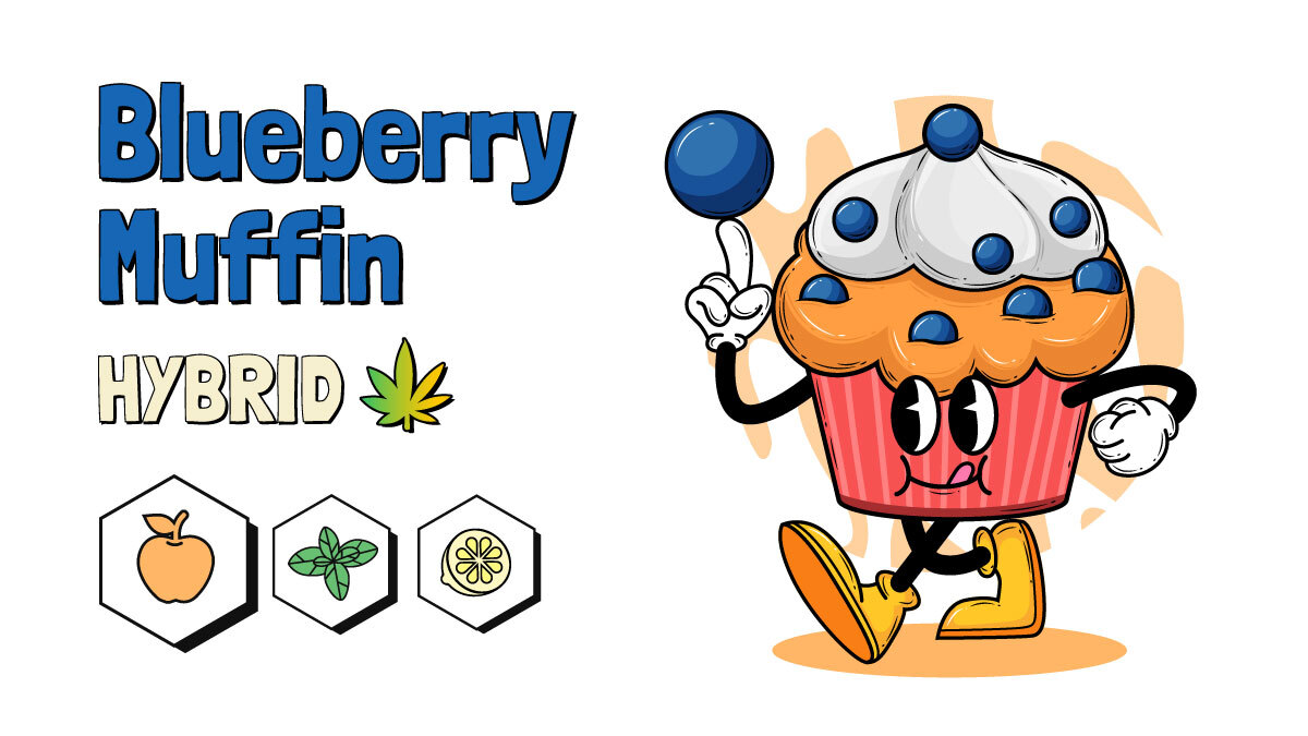 Blueberry Muffin strain Illustration