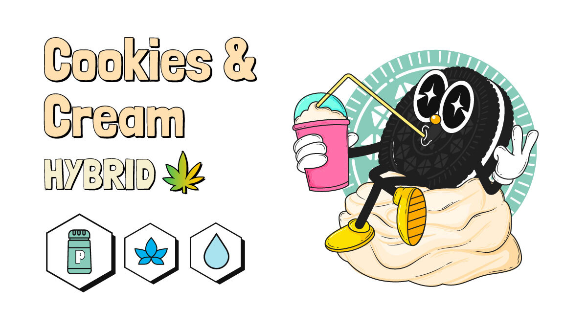 Illustration of cookies and cream strain