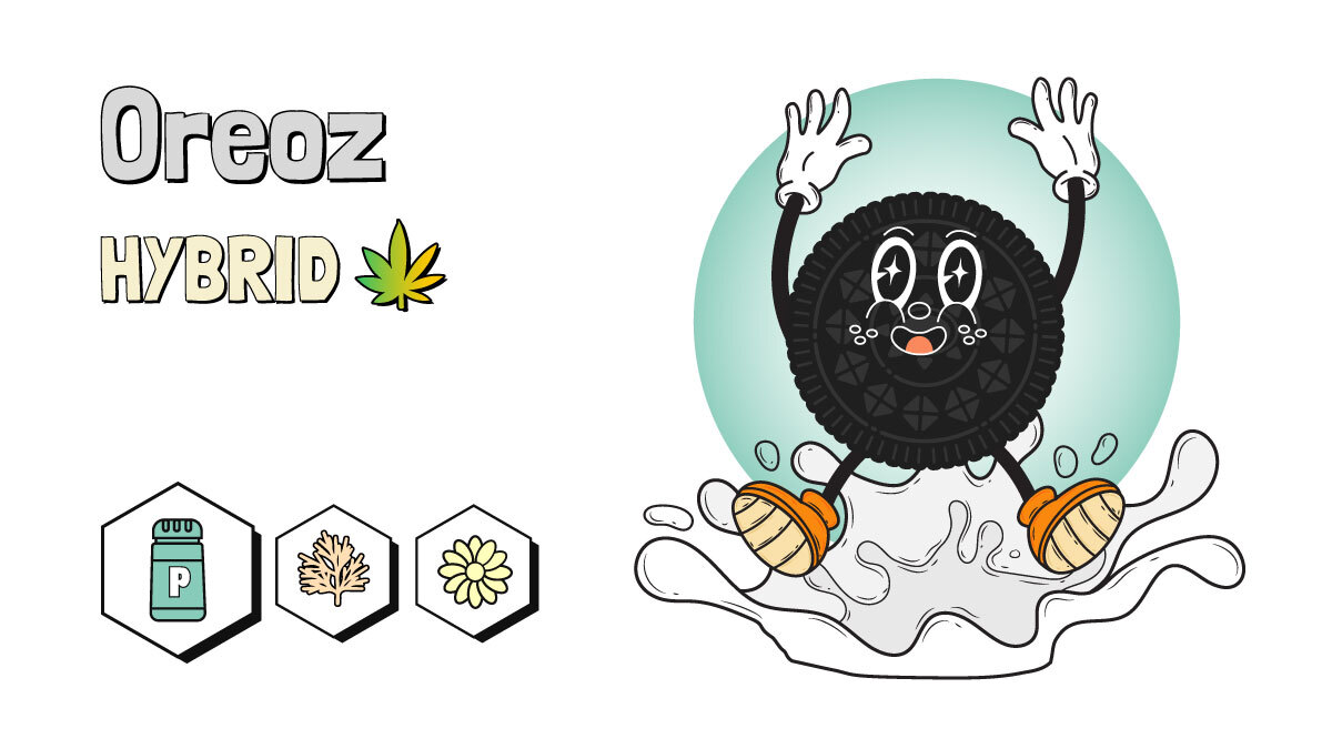 Illustration of Oreoz cannabis strain in white background