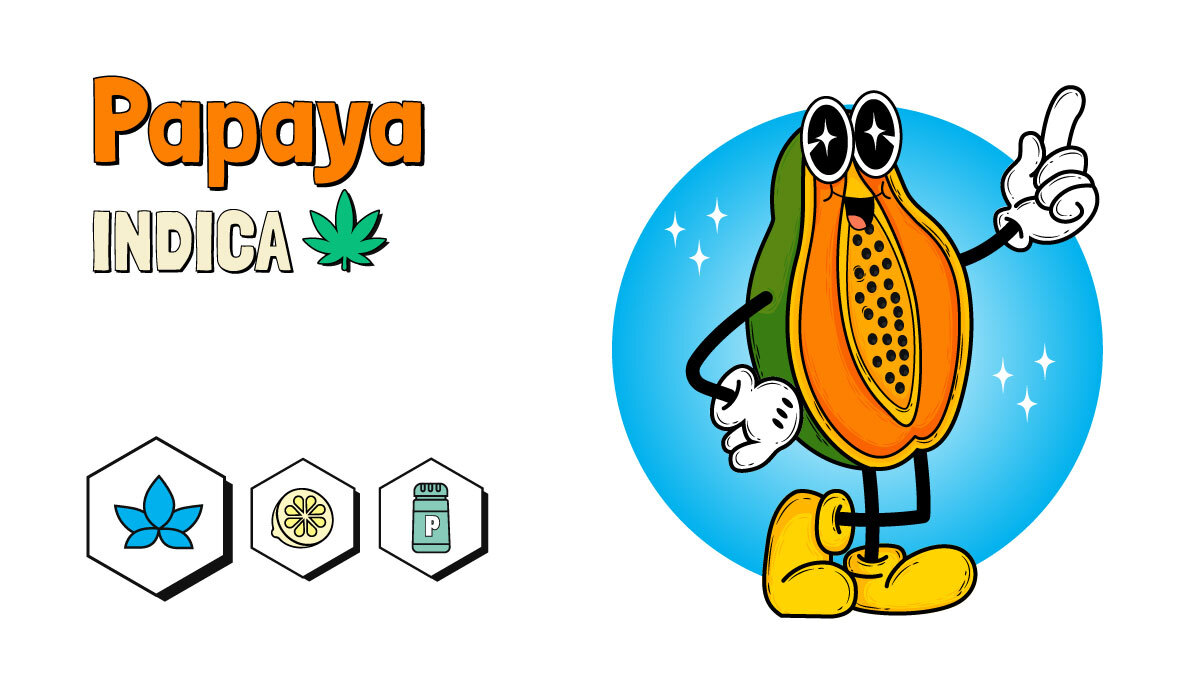 Papaya strain illustration