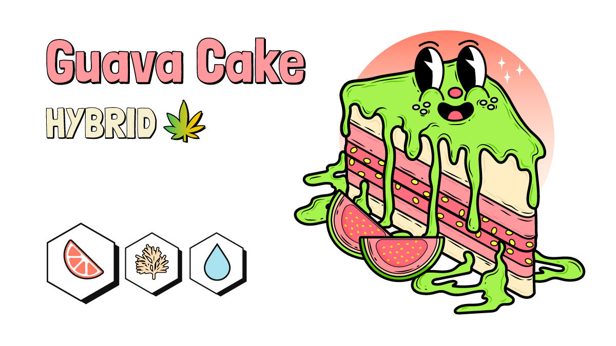 Guava Cake Marijuana Strain Review