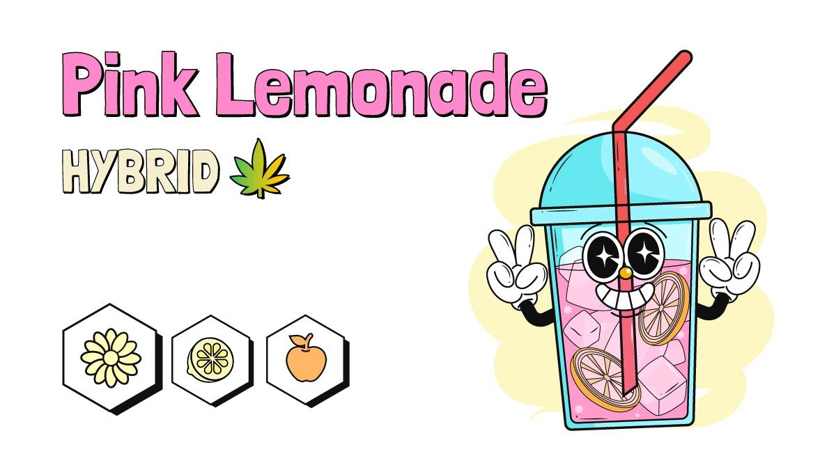 Pink Lemonade strain illustration