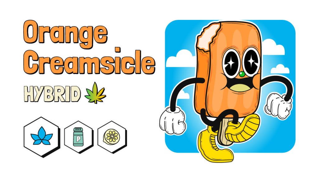 Orange Creamsicle Cannabis Strain Review Rolling Paper