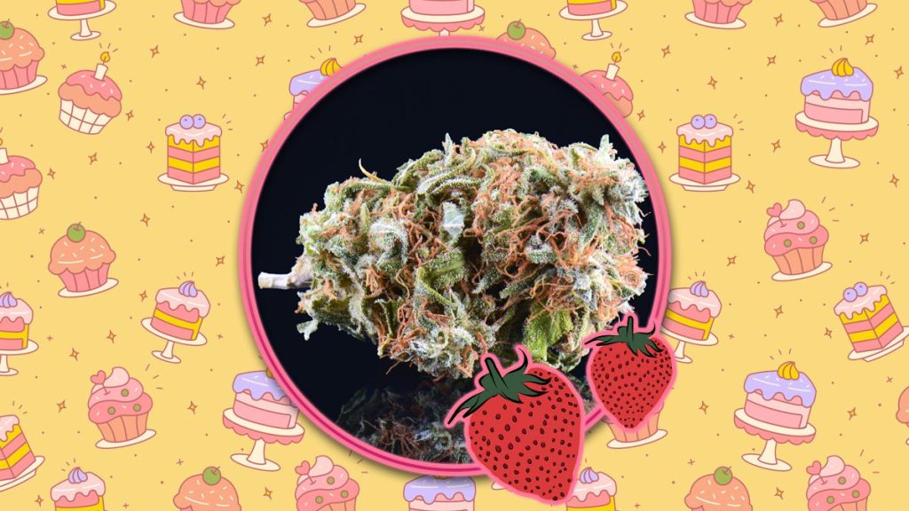 Strawberry Shortcake Strain Review Rolling Paper